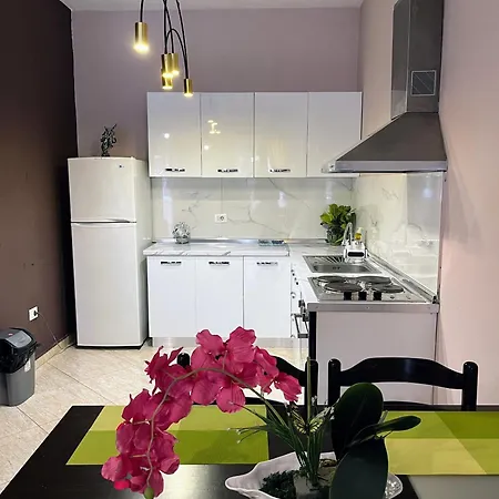 Xplore Xpress • One Bedroom Center Apartment